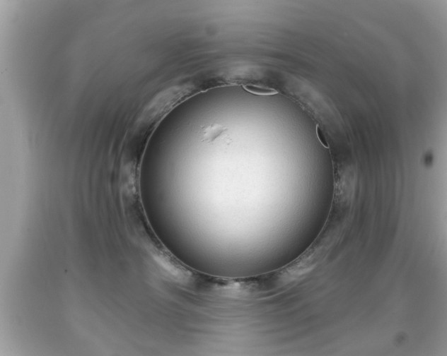 X0000091950430200709131208