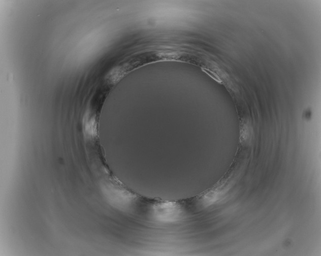 X0000091950431200709131208