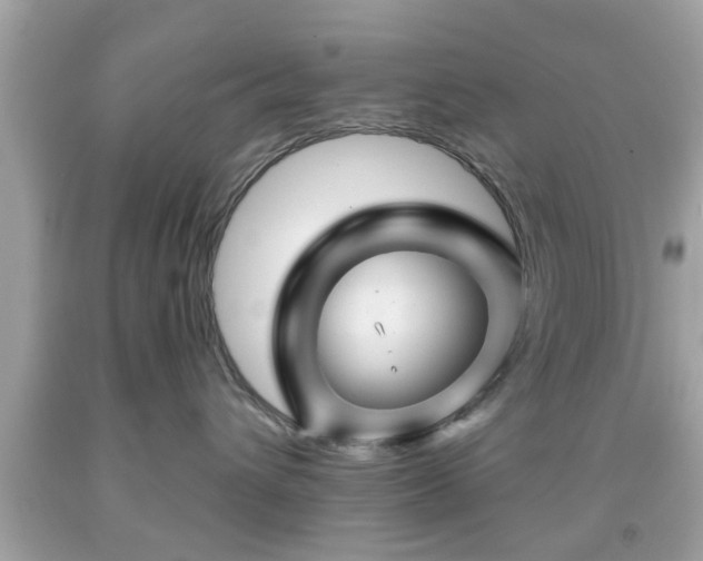 X0000091950432200709131207