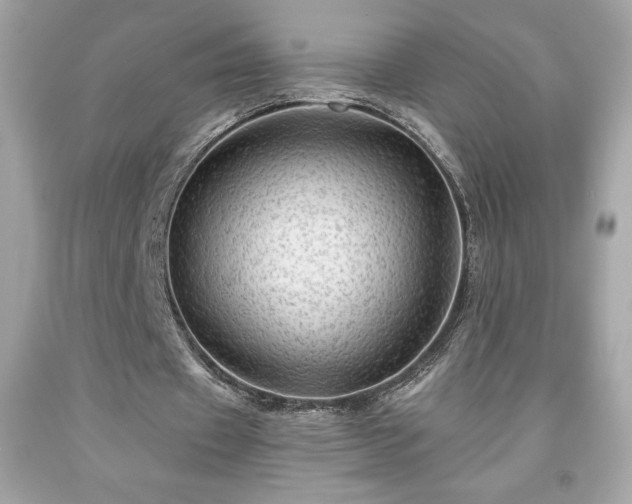 X0000091950433200709131207