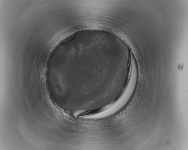 X0000091950434200709131207