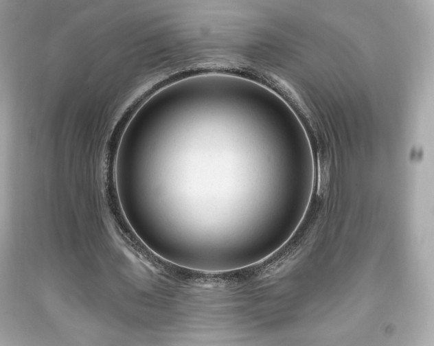 X0000091950435200709131207