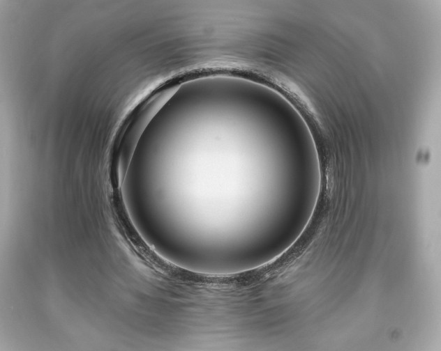 X0000091950436200709131207