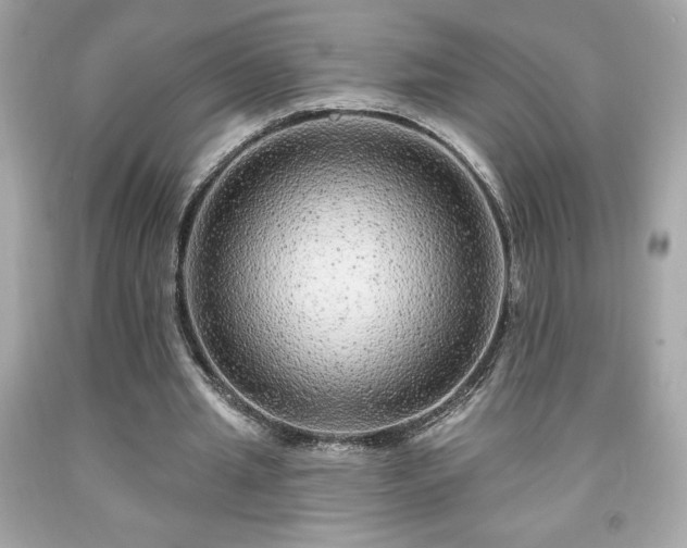 X0000091950437200709131207