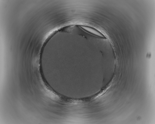 X0000091950438200709131207