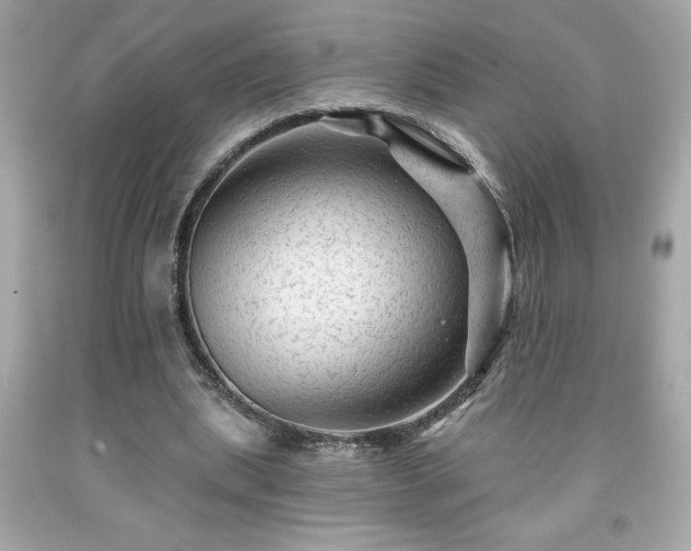 X0000091950439200709131207