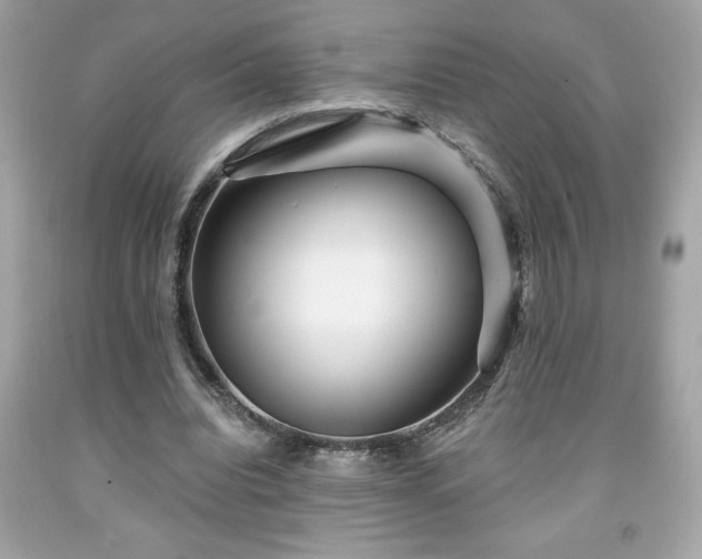 X0000091950440200709131207