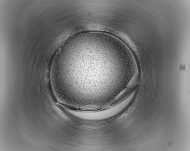 X0000091950441200709131207