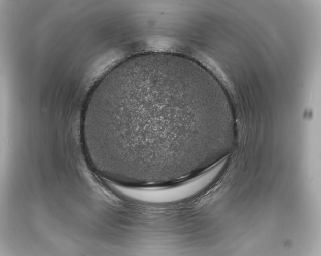 X0000091950442200709131207