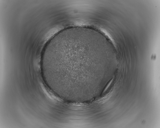 X0000091950443200709131207