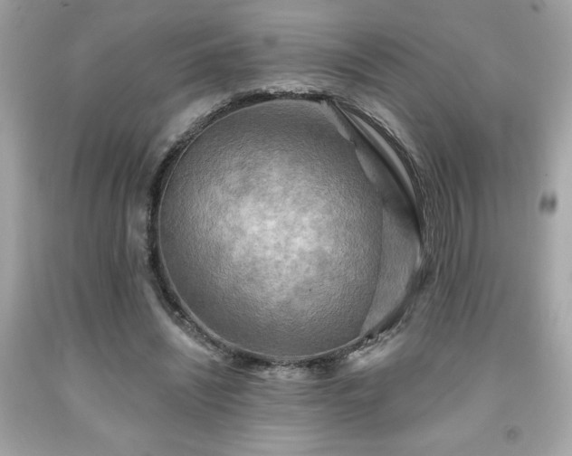 X0000091950444200709131207