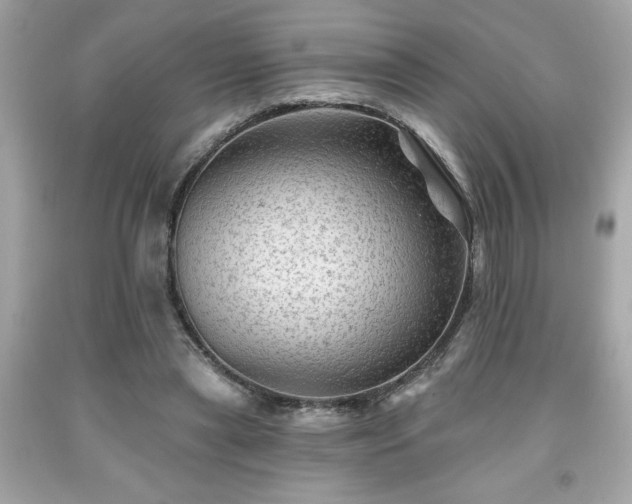 X0000091950445200709131207