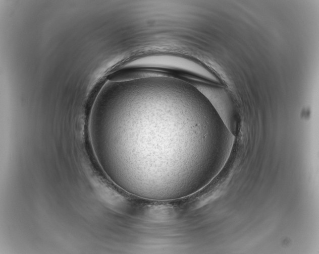 X0000091950446200709131207