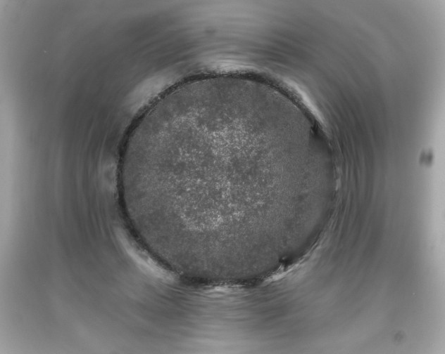 X0000091950447200709131207