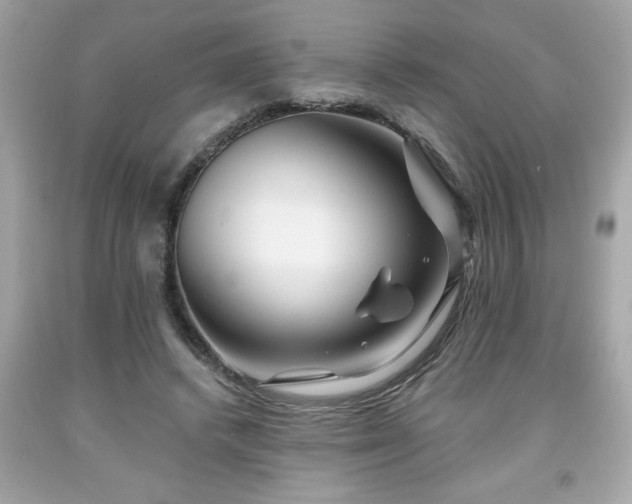 X0000091950448200709131207