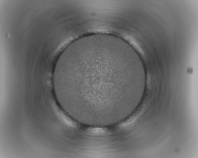 X0000091950449200709131207