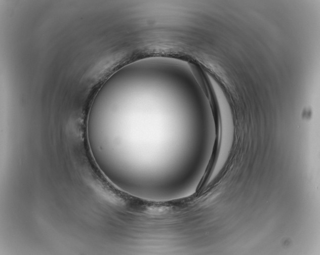 X0000091950450200709131207