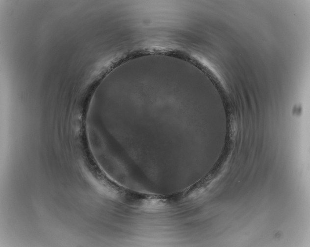 X0000091950451200709131207