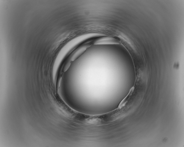 X0000091950452200709131207