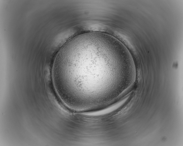 X0000091950453200709131207