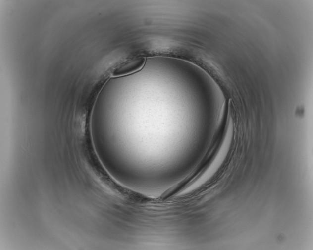 X0000091950454200709131207