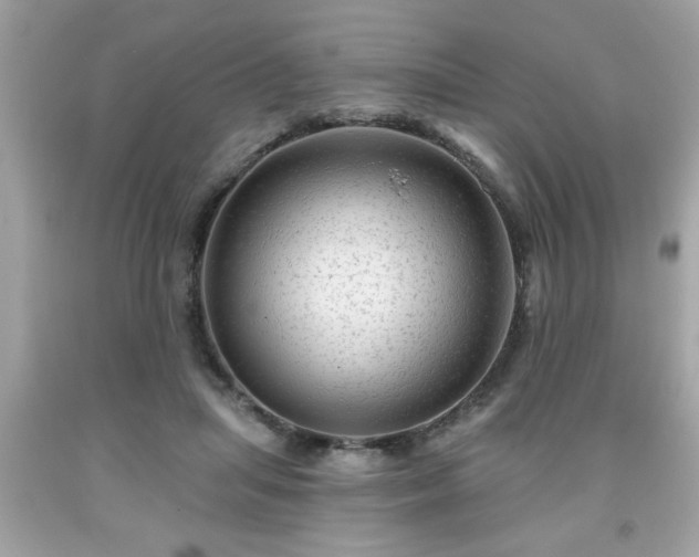 X0000091950455200709131207