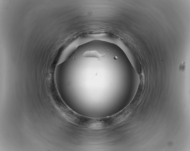 X0000091950456200709131207