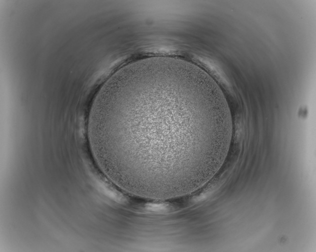 X0000091950457200709131207