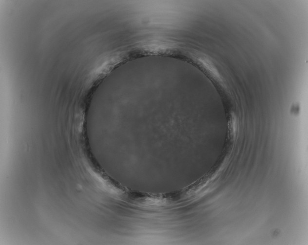 X0000091950458200709131207