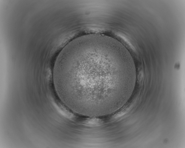 X0000091950459200709131207