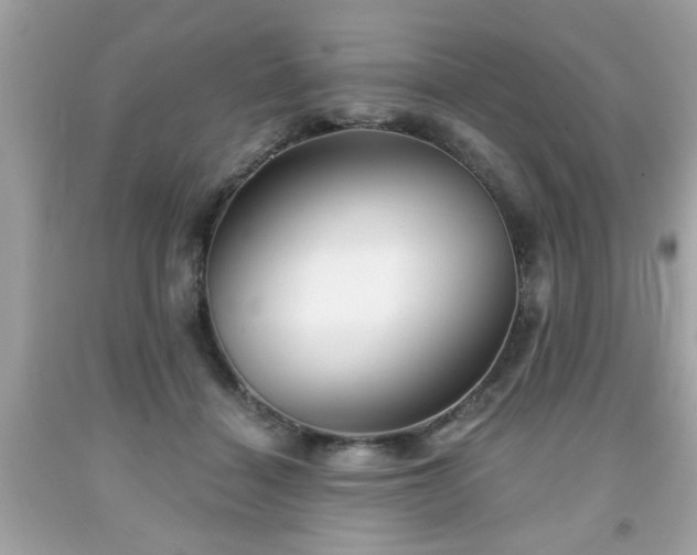 X0000091950460200709131207