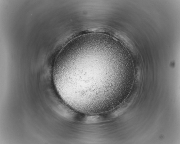 X0000091950461200709131207