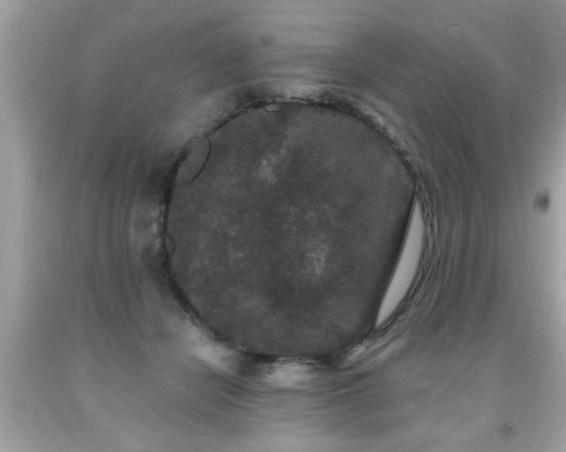 X0000091950462200709131207