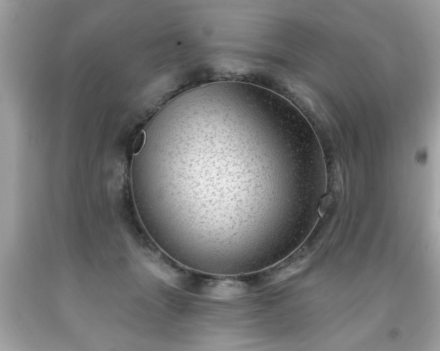 X0000091950463200709131207