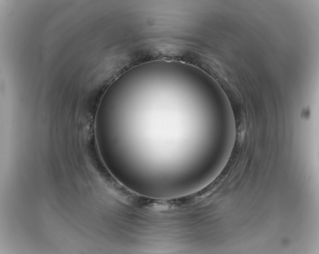 X0000091950464200709131207