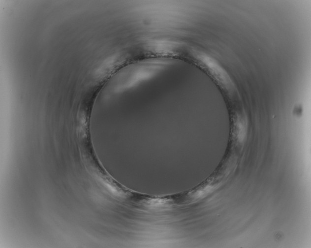 X0000091950465200709131207