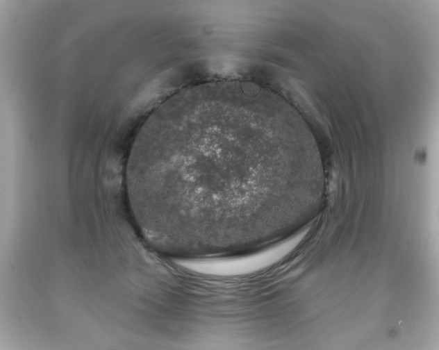 X0000091950466200709131207