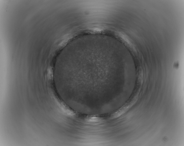 X0000091950467200709131207