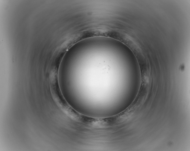 X0000091950468200709131207