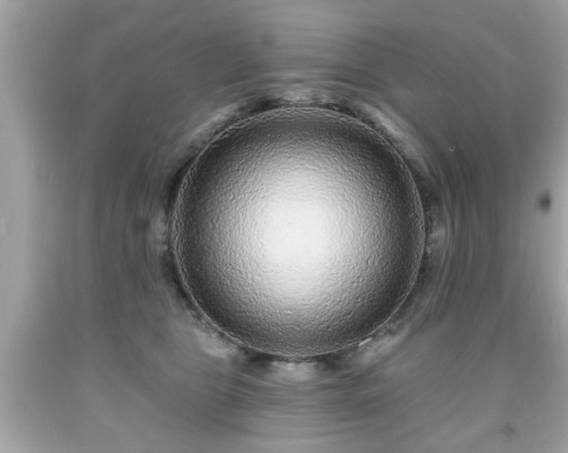 X0000091950469200709131207