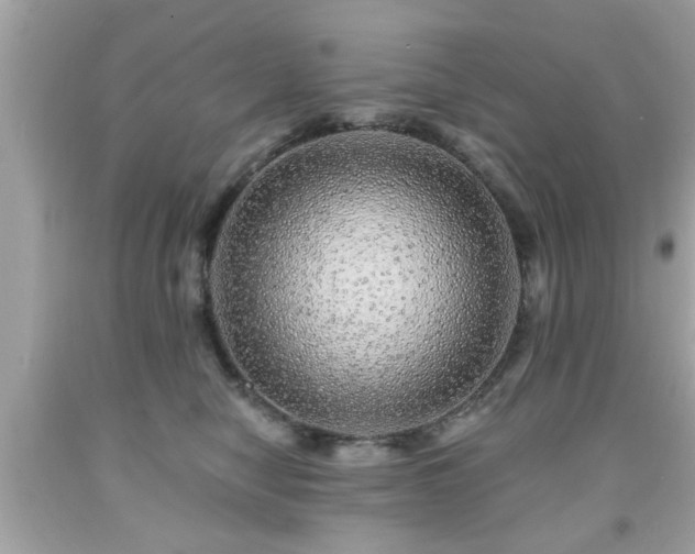 X0000091950470200709131207