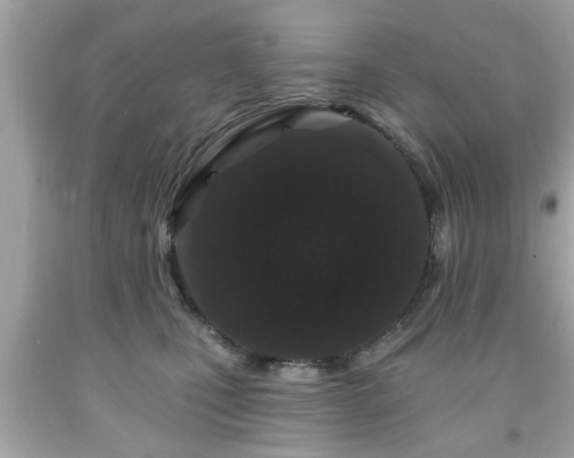 X0000091950471200709131207