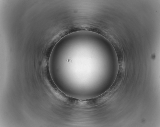 X0000091950472200709131207