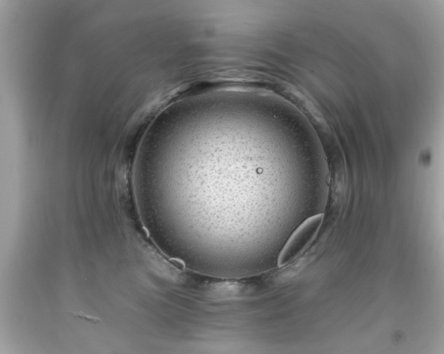 X0000091950473200709131207