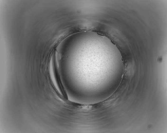 X0000091950474200709131207