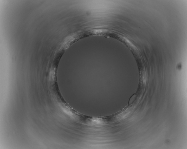 X0000091950475200709131207