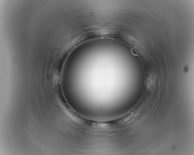 X0000091950476200709131207