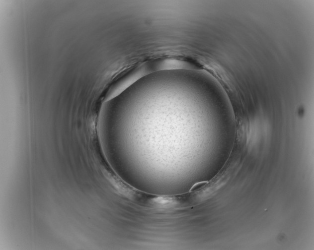 X0000091950477200709131207