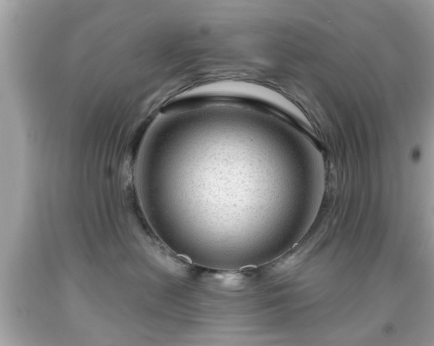 X0000091950478200709131207