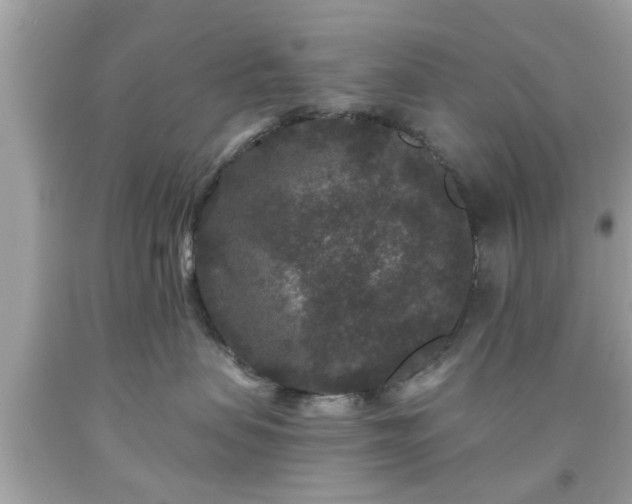 X0000091950479200709131207